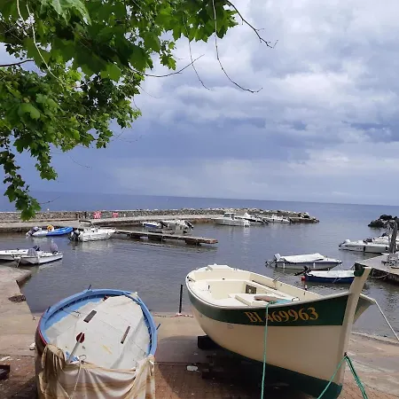 Erbalunga Vue Apartamento *